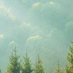 CSR Banner Vers1