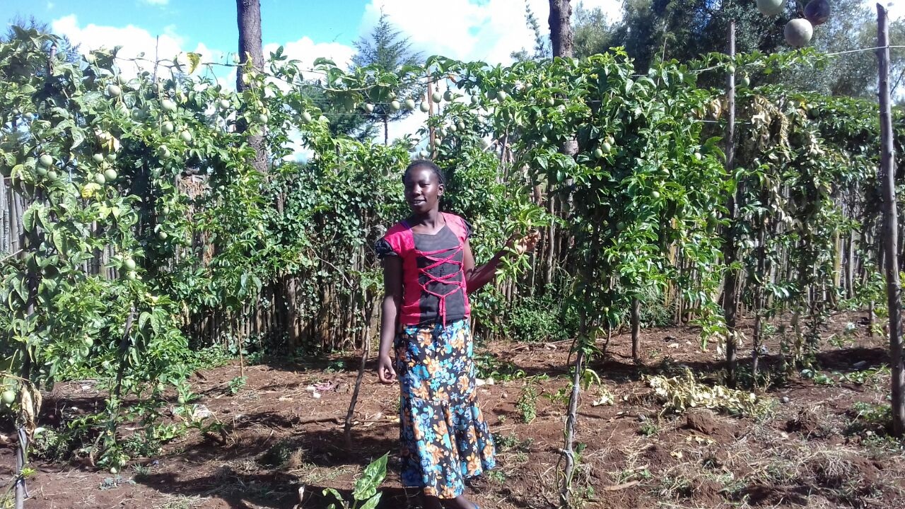Lillian Jepkemoi in her passion fruit tree orchard