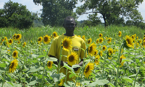 SDG10a picture for web