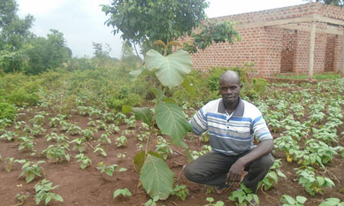 SDG13b picture for web