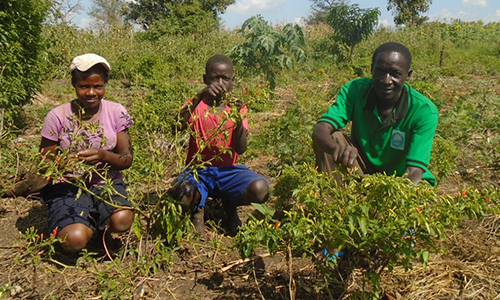 SDG8b picture for web