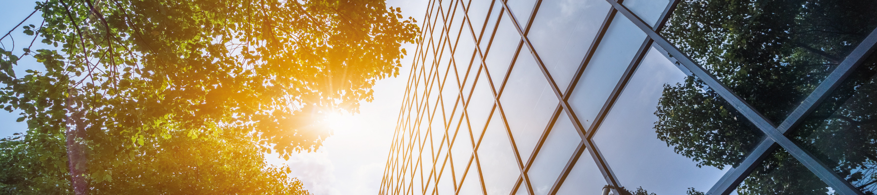 Web Banner Office 10