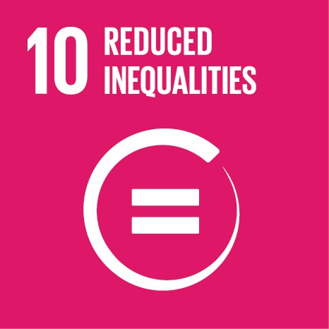 E SDG Icons 10