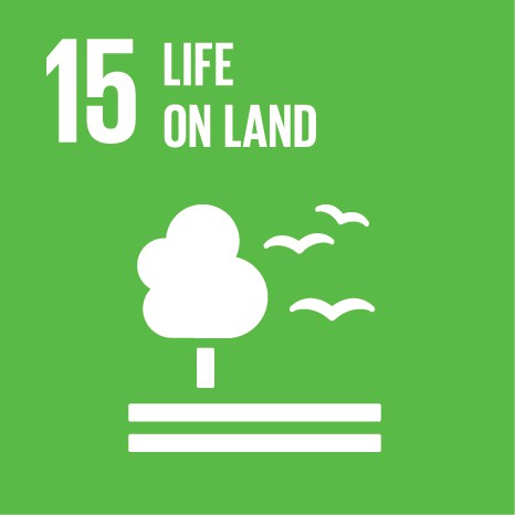 E SDG Icons 15